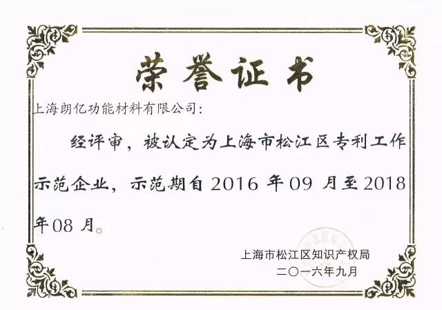 2016年松江區專利工作示范企業